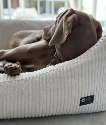 Thumbnail 4: CAFIDE Cord Hundebett, Snozy