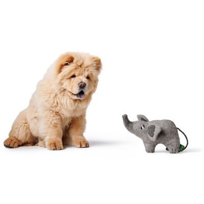 Thumbnail 6: HUNTER Hundespielzeug Eiby Elefant, grau 19 cm