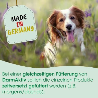 Thumbnail 5: cdVet ToxiVet sorb 50 g – Natürliche Unterstützung für Darm und Leber