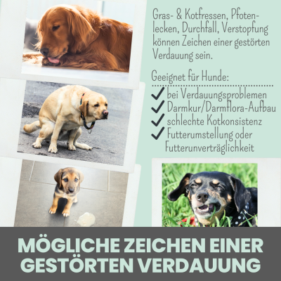 Thumbnail 3: Noms+ Verdauungsmix für Hunde & Katzen als Probiotikum für Magen- & Darmflora