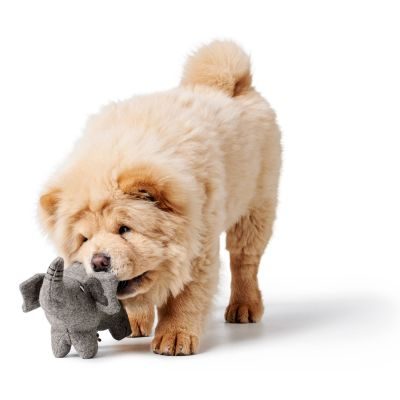 Thumbnail 1: HUNTER Hundespielzeug Eiby Elefant, grau 19 cm