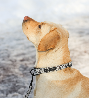 Thumbnail 3: Fluffy Dog Hundehalsband „Coffee“ – vegan, weich & größenverstellbar mit D-Ring für Leine