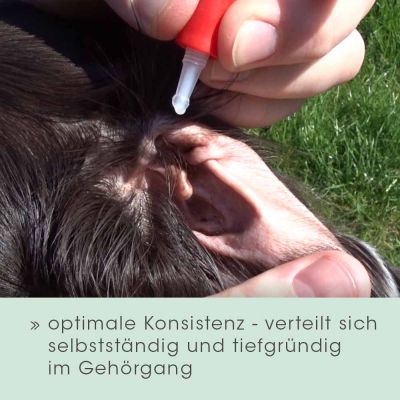 Thumbnail 9: cdVet Ohrenpflege 50 ml – Natürliche Reinigung und Pflege für Hundeohren