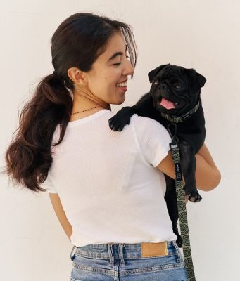 CAFIDE Recyceltes PET-Halsband, Juno