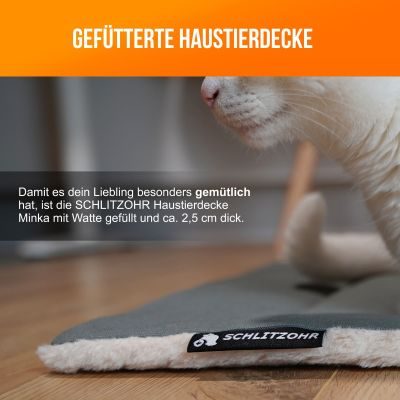 Thumbnail 4: SCHLITZOHR Katzendecke Minka