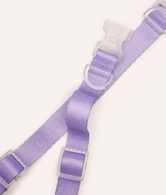 Thumbnail 2: CAFIDE Halsband, Ona