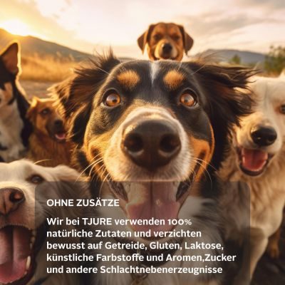 Thumbnail 8: TJURE TJURE Hundesmoothie - Lamm 220 ml Sixpack |Entwickelt für eine sanfte Verdauung