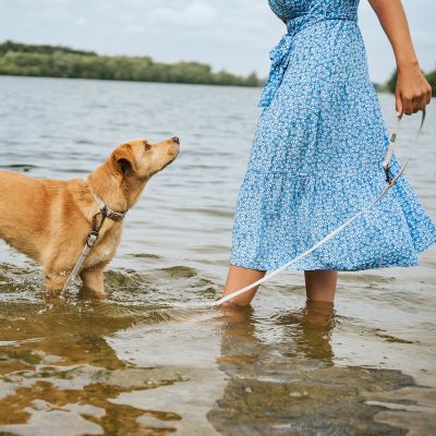 Thumbnail 2: HUNTER Verstellbare Führleine Havanna 20/200, greige
