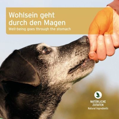 Thumbnail 5: AniForte Magen & Darm Snack