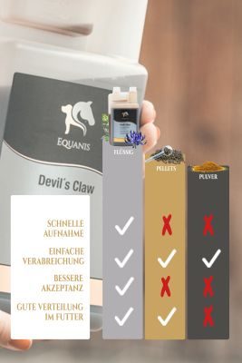 Thumbnail 3: Equanis Devil´s Claw – Teufelskralle Pferd