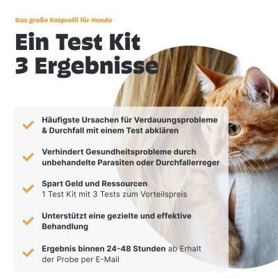 Thumbnail 4: Pezz Kotprofil für Katzen - 3in1 Test für eine umfassende Kotuntersuchung