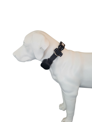doddle for dogs Halsband mit integrierter Leine für große Hunde schwarz