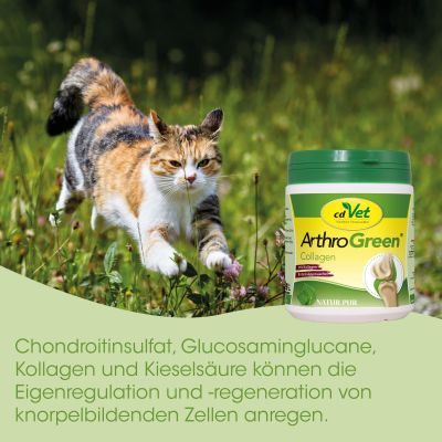 Thumbnail 2: cdVet ArthroGreen Collagen 130 g - Natürliche Gelenkunterstützung für Katzen, Hunde und Pferde