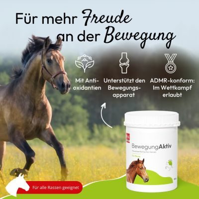 Thumbnail 3: PHA PHA BewegungAktiv für Pferde