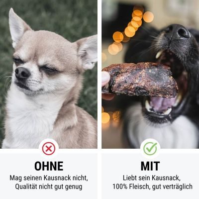 Thumbnail 3: Tales & Tails PferdAbredung zum Rumlungern 5er Paket