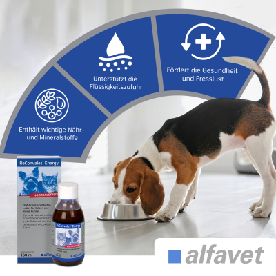 Thumbnail 2: alfavet ReConvales Energy 180 ml