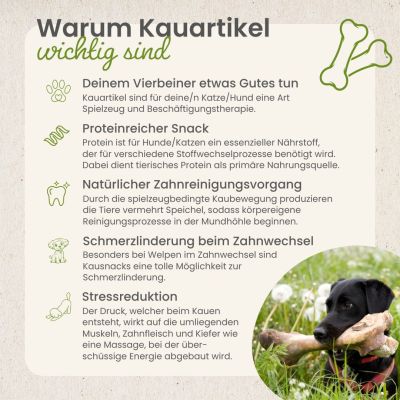 Thumbnail 6: kauartikel.com Lachs-Würfel - Hunde-Kauartikel - Hunde-Snack - Kausnack - Fisch-Leckerli