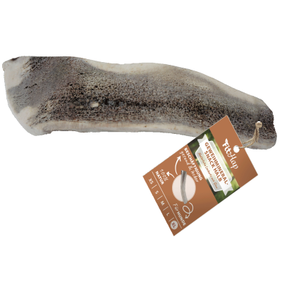 Fit-Hap Geweihmineral-Snack halb XL (160-250 g) – Natürlicher Kausnack aus Abwurfstange für Hunde