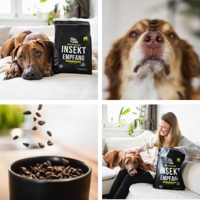 Thumbnail 9: Tales & Tails InSektempfang Softtrockenfutter - 8kg (2x4kg)