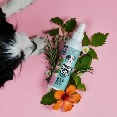 Thumbnail 3: Tierliebhaber Dentalspray für Hunde - Gesunde Zähne & frischer Atem. Mit probiotischen Mikroorganismen gegen Zahnsteinbildung