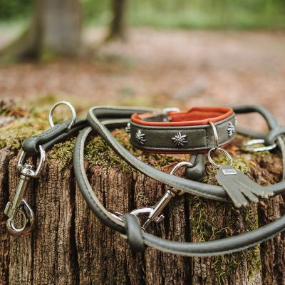 Thumbnail 9: HUNTER Verstellbare Führleine Round & Soft München 6/200, grün