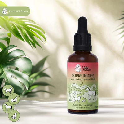 Thumbnail 3: Yuki cares Ohrreiniger