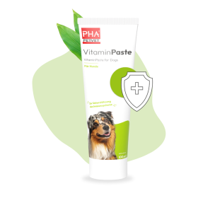 PHA PetVet - PHA VitaminPaste für Hunde - 100 ml