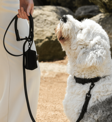 Thumbnail 4: Fluffy Dog BioThane® Hundeleine „All Black“ – vegan, wasserfest & mit D-Ringen für Kotbeutel & Tragekomfort