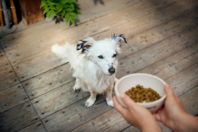 Thumbnail 2: Josera Mini Lamb  3kg