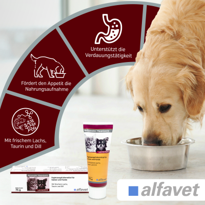 Thumbnail 4: alfavet ReConvales Päppelpaste Einzelfaltschachtel 75 g