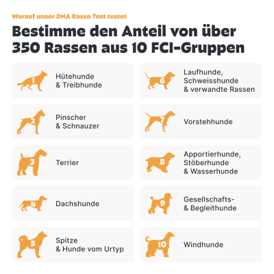 Thumbnail 3: Pezz Hunde Rassebestimmungs DNA-Test | Resseanalyse auf 1% genau