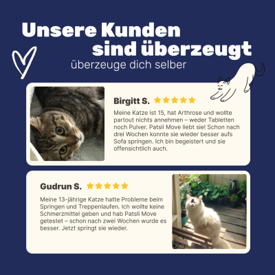 Thumbnail 8: Patsli Nahrungsergänzung für Katzen mit Arthrose und eingeschränkter Beweglichkeit