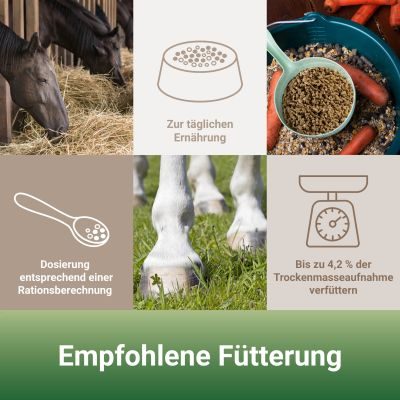 Thumbnail 4: PANTO Pferdemineral mit Wisan-Lein 7,5kg