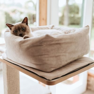 Thumbnail 9: stylecats® Kratzbaum Owen 2 Liegeflächen & Kratzfläche (M) 109 cm, weiß/grau/grau