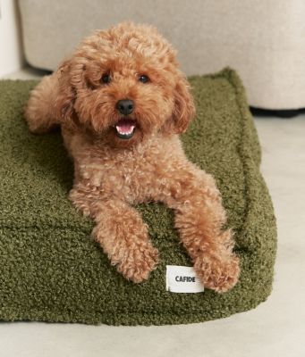 Thumbnail 3: CAFIDE Teddyfell-Hundebett, Cuadra