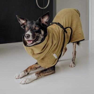 Thumbnail 6: Rudelkönig Hundebademantel aus 100% Baumwolle, Saugstarker Hundebademantel, Hunde Bademantel