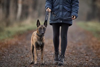 Thumbnail 2: ammi® for Dogs Fettlederleine 3-fach verstellbar 220 cm / 20 mm / Schwarz