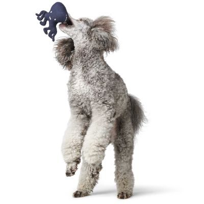 Thumbnail 4: HUNTER Hundespielzeug Skagen Tintenfisch, blau 21 cm