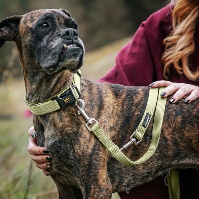 Thumbnail 4: Rudelkönig Hundeleine Frida 2,30m, Verstellbare Hundeleine große Hunde, Robuste Führleine