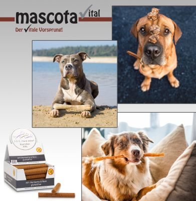 Thumbnail 7: 123… Hund dabei! Kaurollen XXL mit Insekten und Reis, harte Kauartikel für Hunde, getreidefrei, Zahnpflegesnack, XXL Pack