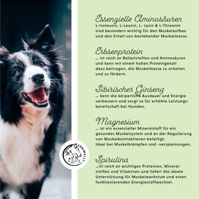 Thumbnail 6: annimally Muskelpower Tabletten