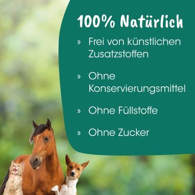 Thumbnail 3: Fit-Hap FishHap Sprotten 250 g – 100 % natürlicher Fischsnack für Hunde & Katzen