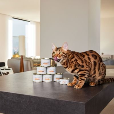 Thumbnail 3: Lucky-Kitty Katzenfutter Probeset Premium-Qualität (8 x 200 Gramm = 1,6kg)