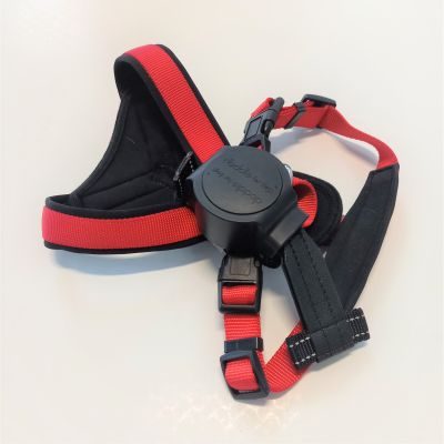 Thumbnail 8: doddle for dogs Leine schwarz für Hundegeschirr für große Hunde