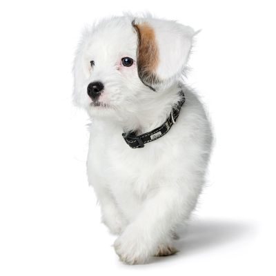 Thumbnail 7: HUNTER Halsung Canadian Up S/2, schwarz