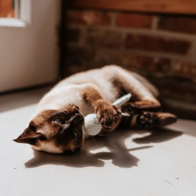 Thumbnail 4: stylecats® Katzenspielzeug Bombs 13 cm, grau