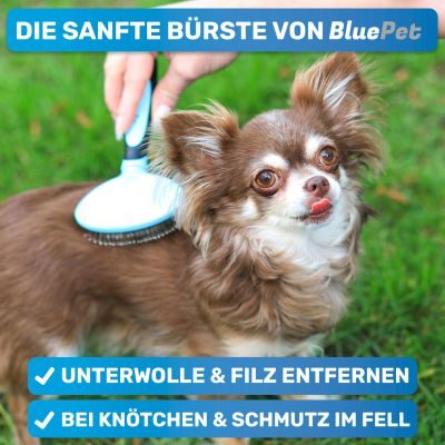 Thumbnail 2: BluePet Kleine sanfte Zupfbürste, Hundebürste & Katzenbürste mit weichen Pins, zur täglichen Anwendung für empfindliche Tiere im Fellwechsel / Welpen geeignet