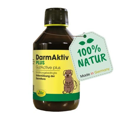 cdVet DarmAktiv plus 250 ml – Natürliche Ergänzung zur Unterstützung einer ausgewogenen Darmflora