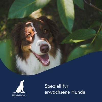 Thumbnail 2: Dr.Clauder’s Dr.Clauder´s B.A.R.F. Komplett Menue Lammragout 400g