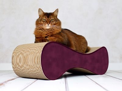 cat-on LE VER M Design Kratzmöbel, violett (070)